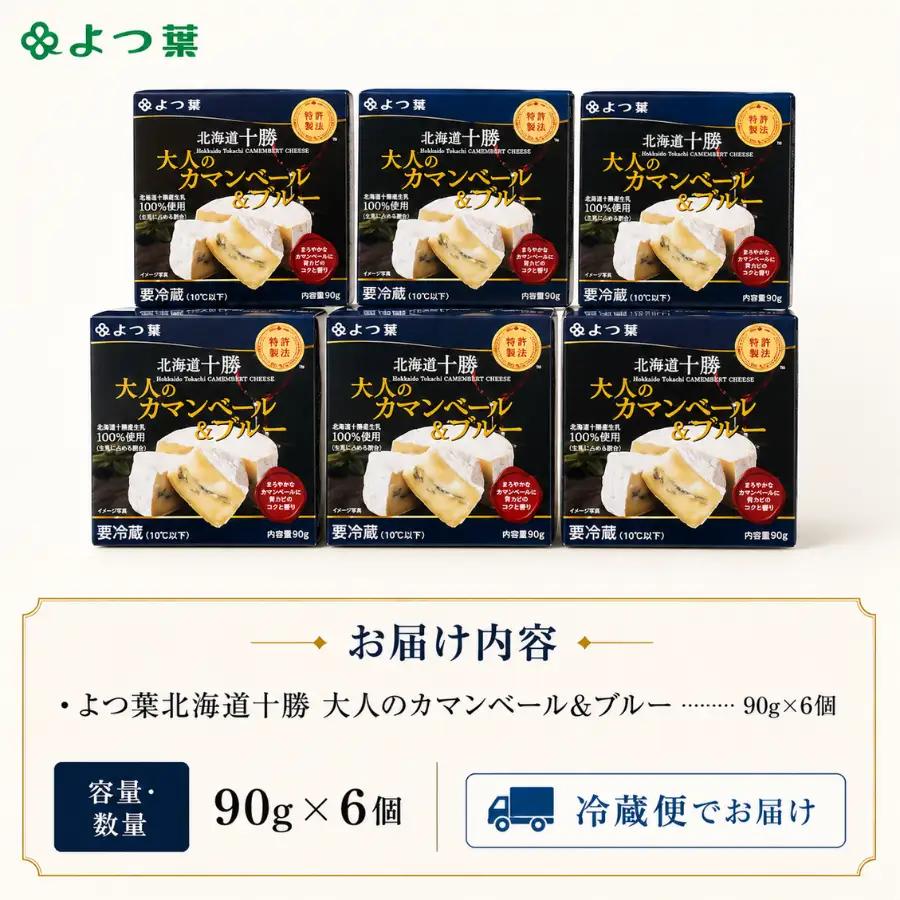 北海道十勝産 よつ葉大人のカマンベール＆ブルー6個 【  チーズ 贈答  ギフト セット  送料無料 】 SKA033