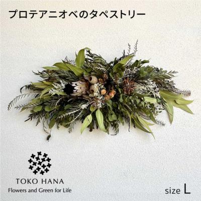 ふるさと納税 糸島市 プロテアニオベのタペストリー(Lサイズ)　糸島市/tokohana ドライフラワー[AOC029]