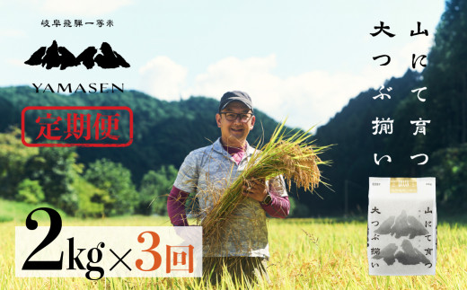 新米先行予約【2026年産米】【定期便】2kg×3回 （2026年10月から毎月発送）山仙（いのちの壱）すがたらいす 下呂市金山産 令和8年産 毎月 2キロ×3カ月 お米 精米 下呂温泉 下呂市 米 ブランド米
