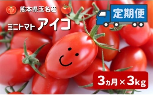 ミニトマト アイコ 【3ヶ月定期便】 | 野菜 やさい トマト とまと みにとまと 熊本県 玉名市 定期 定期便