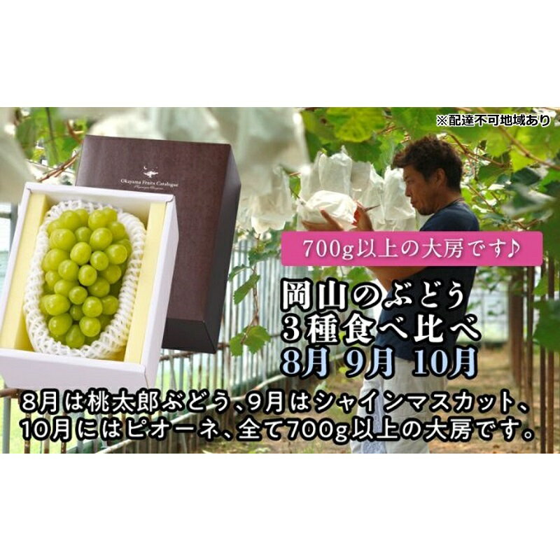 【ふるさと納税】【2026年度発送】岡山のぶどう 3種 食べ比べ 3回 お届け 定期便 （8月・9月・10月） ブドウ 葡萄 大房 岡山県産 国産 フルーツ 果物 贈り物 ギフト　お届け：2026年8月中旬〜2026年10月中旬