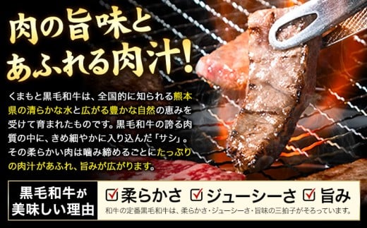 A4〜A5等級 黒毛和牛 切り落とし 上 ロース 焼肉 切り落とし 900g《30日以内に出荷予定(土日祝除く)》くまもと黒毛和牛 熊本県 産山村 上ロース 焼肉用 黒毛和牛 焼肉 肉 お肉 和牛 A