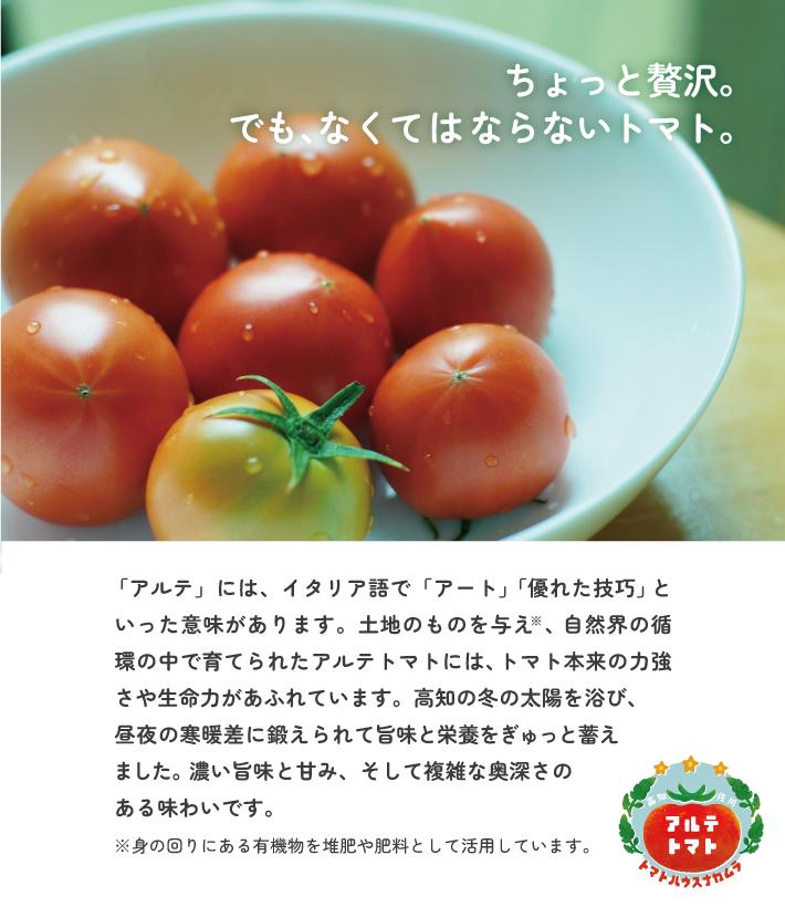 ＜アルテトマト 約800g（10‐16玉）×1箱＞フルーツトマト 高知県 佐川町 トマトハウスナカムラ 【常温】 栽培期間中化学農薬・化学肥料不使用