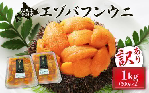訳あり 規格外品 無添加 エゾバフンウニ 塩水パック 1kg 配送期間B：10月下旬～11月下旬迄 うに ウニ 雲丹 生うに バフンウニ 塩水 パック詰め ふるさと納税 北海道 登別市