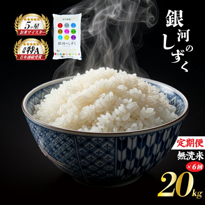 銀河のしずく 無洗米 20kg 5kg×4袋 米 定期便 6回 6ヶ月 連続 お届け 盛岡市産 いわて米 ブランド米 精米 白米 米 お米 こめ コメ ライス ご飯 ごはん 美味しい おすすめ贈り物 ぎんがのしずく 産地直送 盛岡 佐々木米穀店