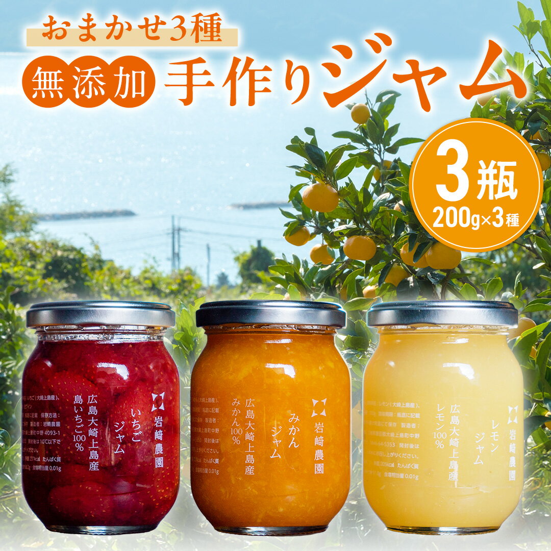 【ふるさと納税】岩崎農園 無添加 手作り ジャム 200g 3本 広島県 大崎上島町 瀬戸内 離島 農家 完全受注生産 新鮮 フレッシュ フルーツ いちじく みかん いちご ブルーベリー キウイ 果物 詰め合わせ パン