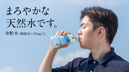 【 6か月 定期便 】Water 310ml×30本入 ミネラルウォーター ＜10月上旬頃発送開始予定＞ 6回定期便 水 飲料水 通販 定期 備蓄 ローリングストック 備蓄用 ペットボトル 防災 工場