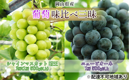 ぶどう 2026年 先行予約 葡萄 味比べ三昧 シャイン マスカット 晴王 2房（1房 580g以上）ニュー ピオーネ  1房 580g以上 岡山県産 シャインマスカット ピオーネ