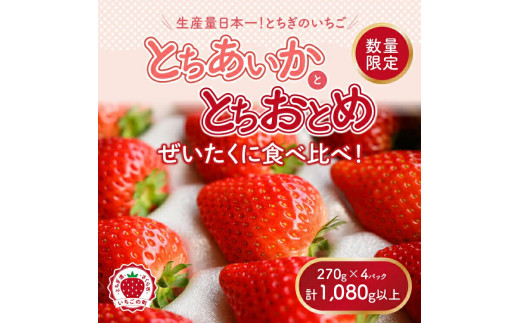 新旧2種食べ比べセット（とちおとめ、とちあいか）270g×4パック 1.08kg以上｜いちご イチゴ 苺 先行予約 栃木県 果物 くだもの フルーツ とちおとめ とちあいか 新鮮 贈答 ギフト 食べ比べ ※2027年1月～発送