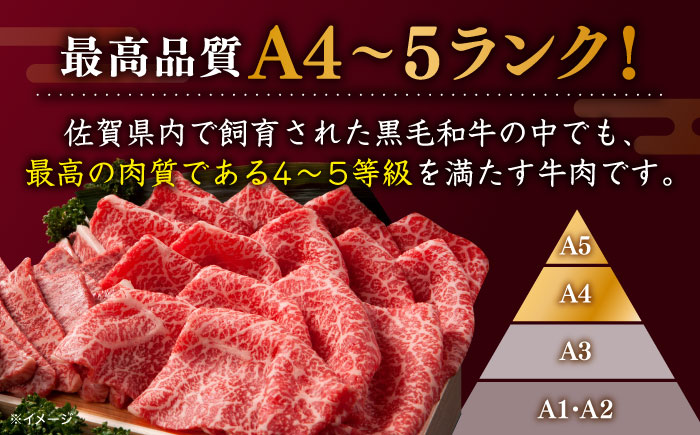 佐賀牛 ローススライス 500g しゃぶしゃぶ・すき焼き用/佐賀牛 スライス ロース 牛肉 肉 すき焼き 贅沢【川崎畜産】 [IAX037]