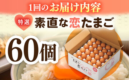 【全6回定期便】【特選卵】素直な恋たまご 60個 [JAP004]