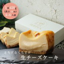 【ふるさと納税】とろける生チーズケーキ 420g/1本(福岡県水巻町)【配送不可地域：離島】【1381767】