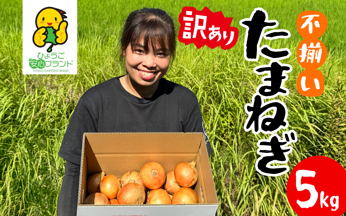 訳あり たまねぎ 5kg 淡路島 フードロス SDGs ／ 不揃い サイズ 混合 ミックス S M L 2L 玉ねぎ タマネギ オニオン スライス サラダ ハンバーグ 肉じゃが 焼肉 常備菜 BBQ スープ 味噌汁 産地直送 兵庫県 淡路市