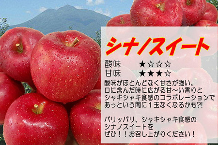 【5月発送クール便】 白熊 訳アリ家庭用シナノスイート 約5kg スマートフレッシュ 糖度13度【弘前市産 青森りんご】