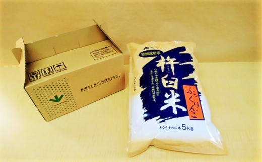 【玄米12ヶ月定期便】特別栽培「きなうす米」ふっくりんこ5kg×12回