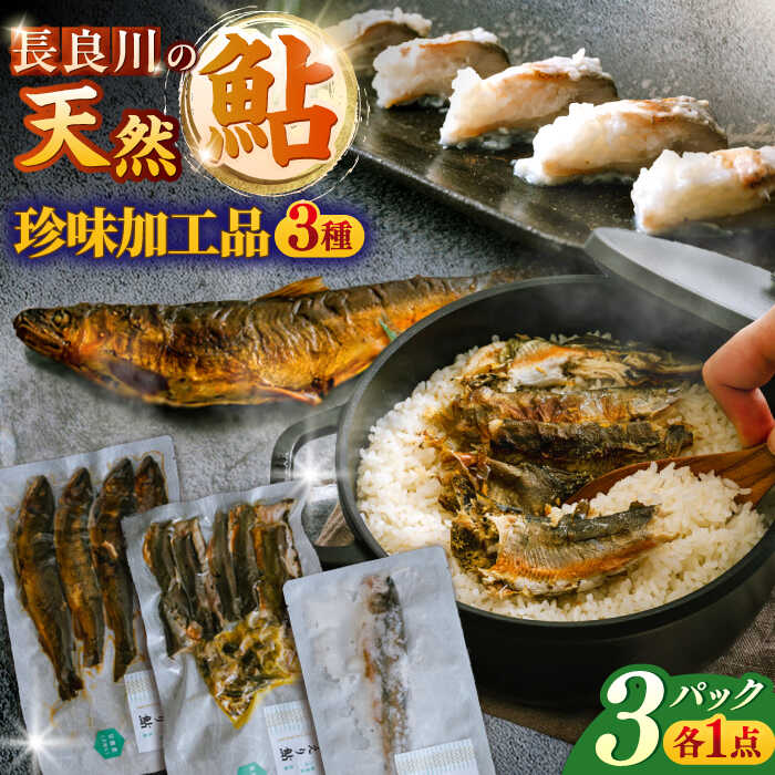 【ふるさと納税】鮎 ［清流長良川］おかえり鮎 珍味加工品3点セット あゆ 寿司 甘露煮 炊き込みご飯 魚 川魚 魚介類 惣菜 おかず ご飯のお供 おつまみ 酒の肴 人気 詰め合わせ セット 天然鮎 落ち鮎 老舗 伝統の味 真空パック 冷凍 ギフト 岐阜市 / 若鶏の春近[ANDL010]