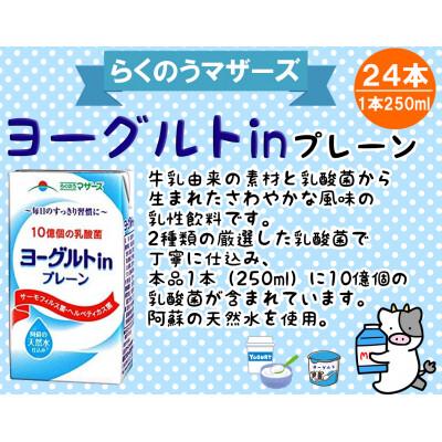 ふるさと納税 菊池市 PEERGURTプレーン250ml×24本 |  | 01