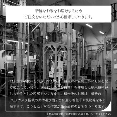 ふるさと納税 大石田町 【5月下旬発送】米 あきたこまち 10kg 5kg×2 令和7年産 山形県産 無洗米 |  | 03