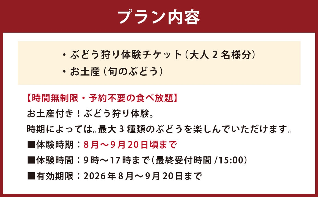 ぶどう狩り体験チケット （ 大人2名様分 ） お土産付き 【2026年8月5日までお申込み可】 【2026年7月下旬～8月下旬ご案内予定】 収穫 試食 自然 家族連れ 観光 体験チケット 体験 経験 