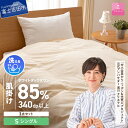 【ふるさと納税】 羽毛布団 掛け布団 セット シングル 日本製 洗える 肌掛け 掛け布団カバー 枕カバー 綿100％ 3点セット 抗菌 除菌 ウイルス除去 防ダニ 掛けカバー 布団セット 洗濯可 国産 衣替え ベッド 暖かい 【甲州羽毛ふとん】