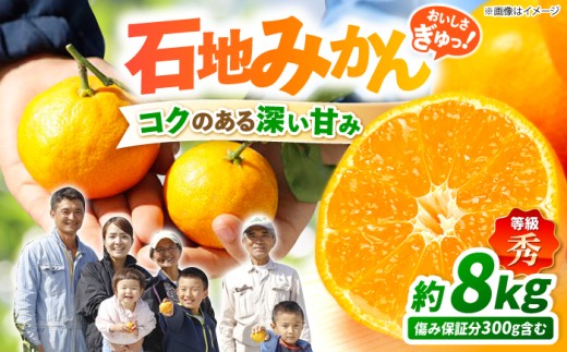 【12月上旬より順次発送】 石地みかん /秀品みかん 約8kg（傷み保証分300g含む） 蜜柑 ミカン ＜川添みかん園＞ [CCT007]  長崎 みかん ミカン 西海 みかん 西海市 mikan みかん 贈答 ギフト 果物 フルーツ お取り寄せみかん 柑橘 甘い 高糖度 温州ミカン 石地みかん 大人気 高評価 秀品みかん 産地直送 完熟みかん mikan