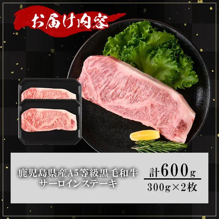 鹿児島県産 A5等級 黒毛 和牛 贅沢 厚切り とろける サーロインステーキ (計600g・300g×2枚) 【KNOT】C46