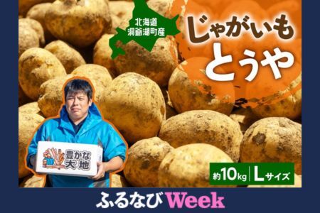 【ふるなびWEEK対象】北海道産 青野農園 じゃがいも とうや Lサイズ 約10kg 2026年10月初旬～12月下旬頃お届け 先行予約 北海道 ジャガイモ トウヤ 馬鈴薯 ポテト 芋 いも イモ 黄色 旬 野菜 農作物 産地直送 お取り寄せ 国産 FN-Limited-WE