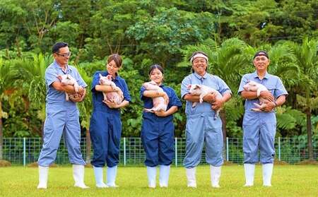 東村産アグーブランド豚『パイとん』しゃぶしゃぶ用 600g（バラ）