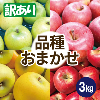 
            ＜26年3月出荷予定＞りんご 品種おまかせ 約3kg 訳あり【1612942】
          