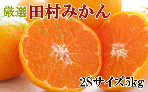 
            【ブランドみかん】田村みかん約5kg（2Sサイズ・秀品）★2025年11月中旬頃より順次発送【TM105】
          