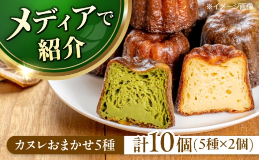 【11月発送】カヌレ 店主おまかせ5種 10個セット 食べ比べ 焼菓子 スイーツ お菓子 デザート カヌレ 個包装 大阪府高槻市/高槻マリンナ [AOEN004-011]