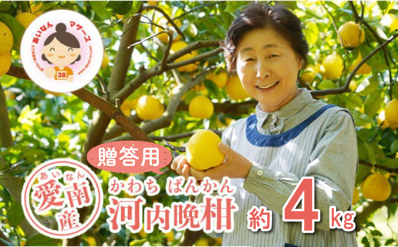 数量限定 先行予約 贈答用 河内晩柑 4kg 10000円 みかん かわちばんかん mikan 蜜柑 ミカン かわちばんかん 愛南ゴールド あいなん ゴールド 文旦 派生 和製 グレープフルーツ 産地直送 国産 農家直送 期間限定 特産品 ゼリー ジュース アイス 等に 人気 限定 甘い さわやか フルーツ 果物 柑橘 蜜柑 ギフト プレゼント あいなんマザーズ 愛南町 愛媛県