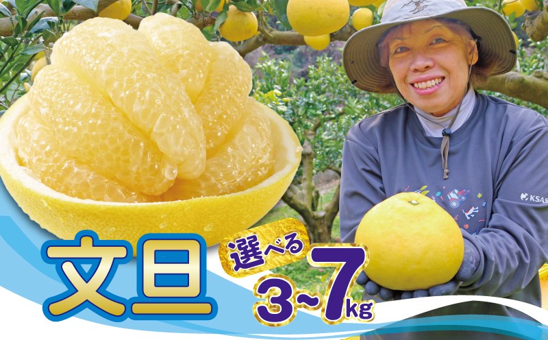 
                  土佐文旦 5kg 家庭用 贈答用 M ~ 5L 農薬不使用 大玉 小玉 文旦 ギフト プレゼント 柑橘 ジャム ぶんたん みかん 高知 フルーツ スイーツ 蜜柑 国産 お菓子 ケーキ 清家農園 宿毛市 高知県 特別栽培 
                