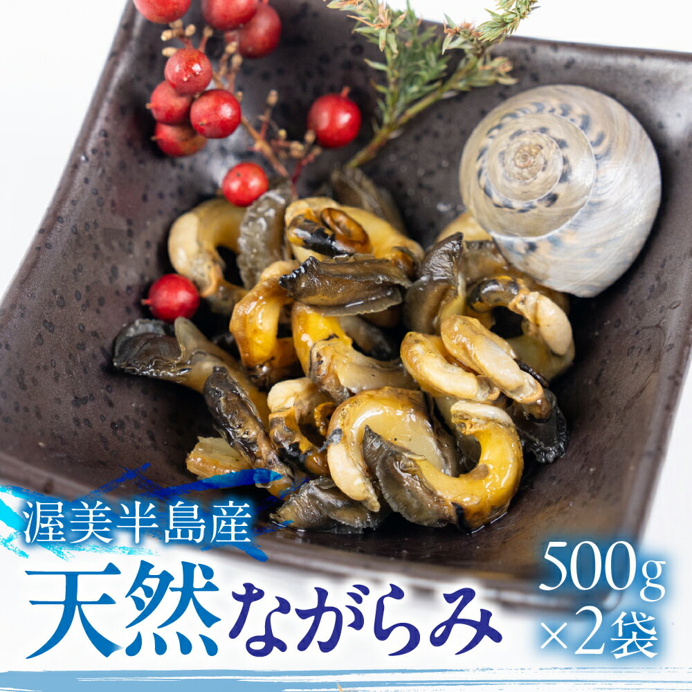 【ふるさと納税】天然ながらみ 砂抜き不要 1kg (500g × 2袋) ながらみ 手掘り おつまみ お酒のアテ 肴 海産物 国産 アサリ 愛知県 田原市 新鮮 砂抜き 海鮮 魚介類 魚介 貝 家庭