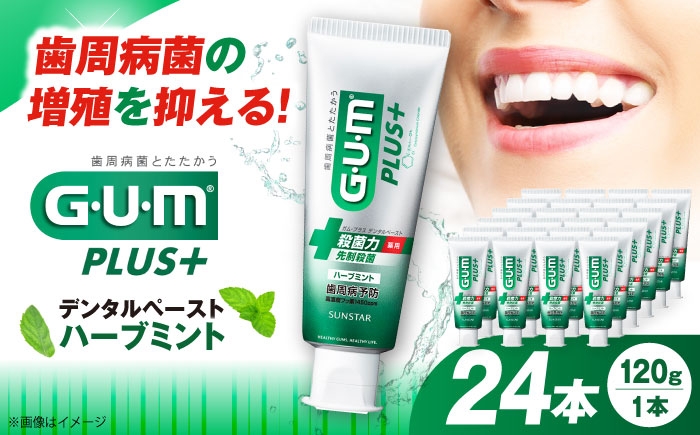 
            【最短7日以内発送】ガム・プラス デンタルペースト 120g×24本（ハーブミント） 歯磨き はみがき ハミガキ 歯磨き粉 歯みがき粉 薬用 医薬部外品 歯周病 虫歯 口臭 予防 矯正 大容量 人気 定番 おすすめ 高濃度フッ素配合 歯周病予防 歯肉炎 歯槽膿漏 口臭ケア デンタルケア オーラルケア CPC 虫歯予防 ハグキケア 口内ケア まとめ買い 大阪府高槻市/サンスター[AOAD027]
          