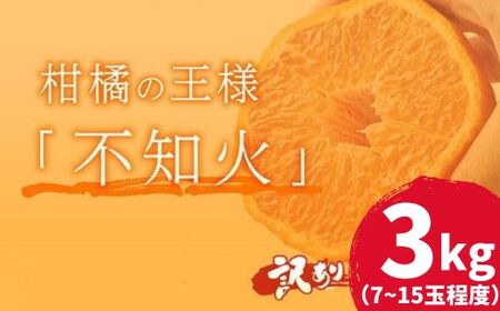 訳ありデコポン 3kg |  デコポン岡村農園 追熟デコポン 室戸産デコポン