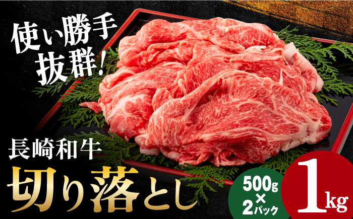 
長崎和牛切り落とし500g×2パック 長崎県/田中精肉店 [42ABAO001] 和牛 切り落とし すき焼き しゃぶしゃぶ 牛肉
