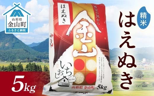 令和7年産 金山産米 はえぬき 【精米】5kg 米 お米 白米 ご飯 精米 ブランド米 送料無料 東北 山形 金山町 F4B-0713