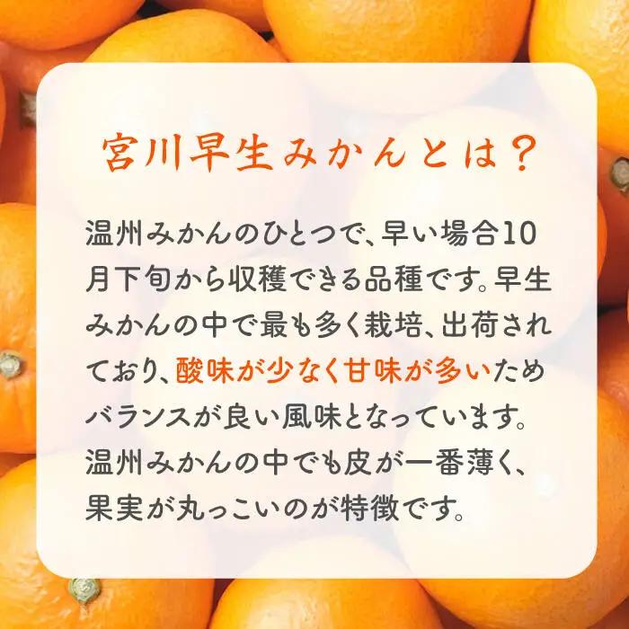 宮川早生みかんLサイズ約5kg[EBI011]温州みかん
