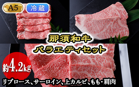 【冷蔵】那須和牛バラエティセットA5（約4.2kg）牛肉 国産 冷蔵 冷凍 セット 那須町〔I-2〕