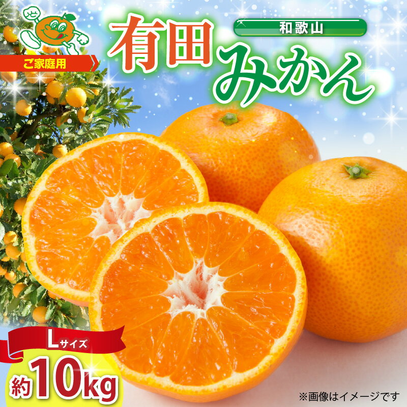 【ふるさと納税】【限定】【2026年先行予約】 【ご家庭用】 和歌山 有田みかん 約10kg Lサイズ 【湯浅町】 【ミカン 蜜柑 柑橘 温州みかん 和歌山 有田 大粒】