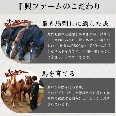 ふるさと納税 多良木町 馬刺し ユッケ・桜うまトロ 12食セット 計約660g(多良木町)【 馬刺しセット ユッケ 冷凍 】 |  | 02