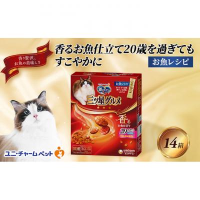 ふるさと納税 伊丹市 銀のスプーン三ツ星グルメ香るお魚仕立て20歳を過ぎてもすこやかに お魚レシピ 猫[54030334]