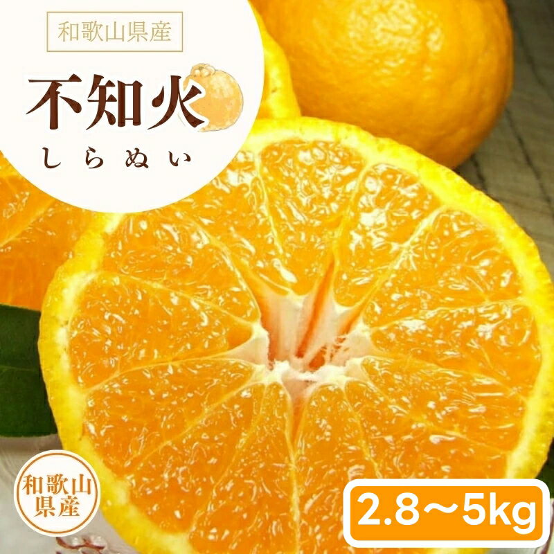 【ふるさと納税】 デコ 不知火 2.8kg 5kg サイズおまかせ / みかん 柑橘 果物 湯浅町 田村産 ※2月上旬～4月上旬頃に順次発送予定 (お届け日指定不可) //dekopon