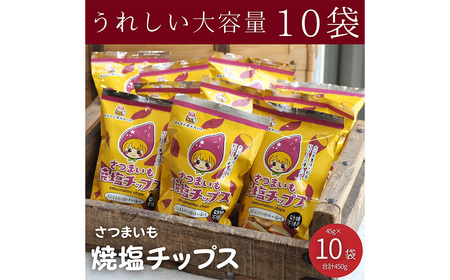 105-1121 大分県産 さつまいも 焼塩 チップス 45g×10袋 芋 いも スナック お菓子 おやつ 紅はるか