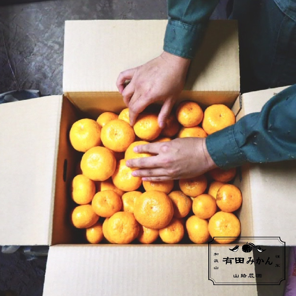 【訳あり】有田みかん 約3kg 家庭用 EY001_イメージ4