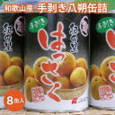 【ふるさと納税】和歌山産手剥き八朔缶詰450g×8缶入り★2024年5月～順次発送【TM14】