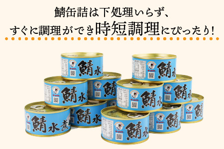 鯖水煮缶詰24缶セット 180g×24缶 [D-003007]