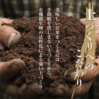 ふるさと納税 南魚沼市 【玄米】 新潟県 南魚沼産 コシヒカリ 30kg (お米の美味しい炊き方ガイド付き) |  | 02