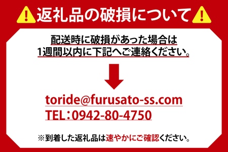 AB009-1　キリンビール取手工場産一番搾り生ビール缶500ml缶×24本